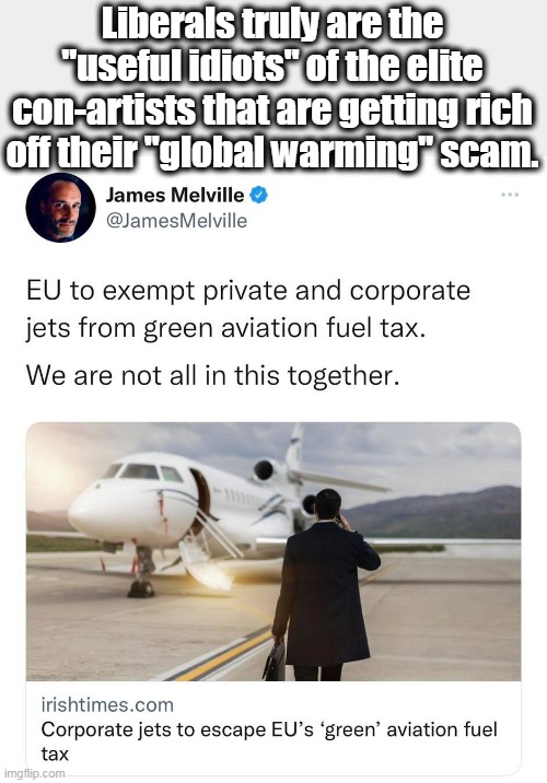 Quit being so gullible, and grow up! | Liberals truly are the "useful idiots" of the elite con-artists that are getting rich off their "global warming" scam. | image tagged in liberal logic,stupid liberals,global warming,scam,lies | made w/ Imgflip meme maker