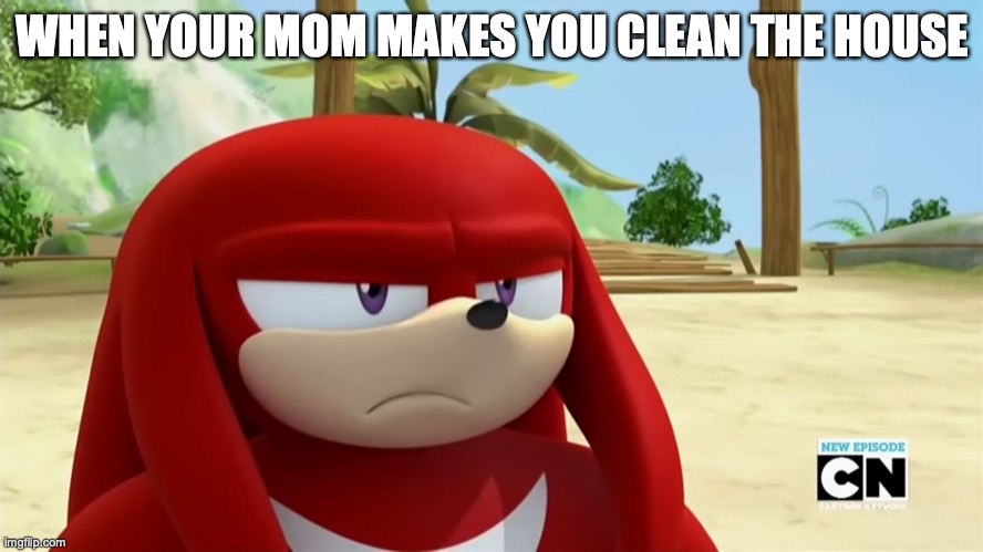 Knuckles is not Impressed - Sonic Boom | WHEN YOUR MOM MAKES YOU CLEAN THE HOUSE | image tagged in knuckles is not impressed - sonic boom | made w/ Imgflip meme maker
