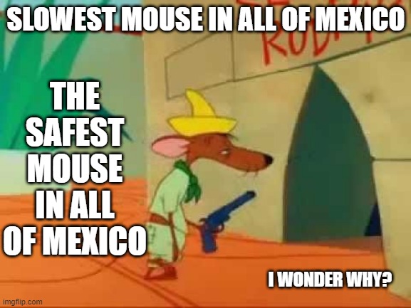 Facts |  THE SAFEST MOUSE IN ALL OF MEXICO; SLOWEST MOUSE IN ALL OF MEXICO; I WONDER WHY? | image tagged in fact | made w/ Imgflip meme maker