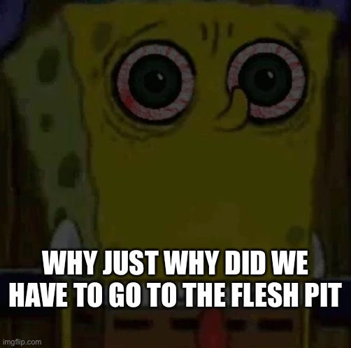 WHY JUST WHY DID WE HAVE TO GO TO THE FLESH PIT | image tagged in spongebob bootleg | made w/ Imgflip meme maker