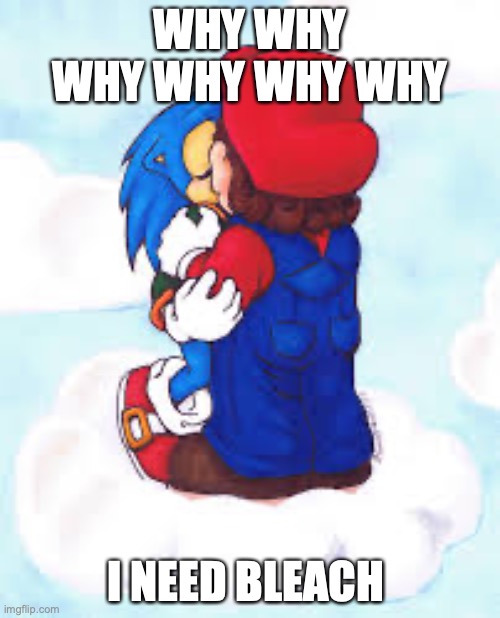 Mario x Sonic | WHY WHY WHY WHY WHY WHY; I NEED BLEACH | image tagged in mario x sonic | made w/ Imgflip meme maker
