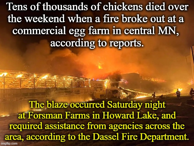 Tens of thousands of chickens died over 
the weekend when a fire broke out at a 
commercial egg farm in central MN, 
according to reports. T | made w/ Imgflip meme maker