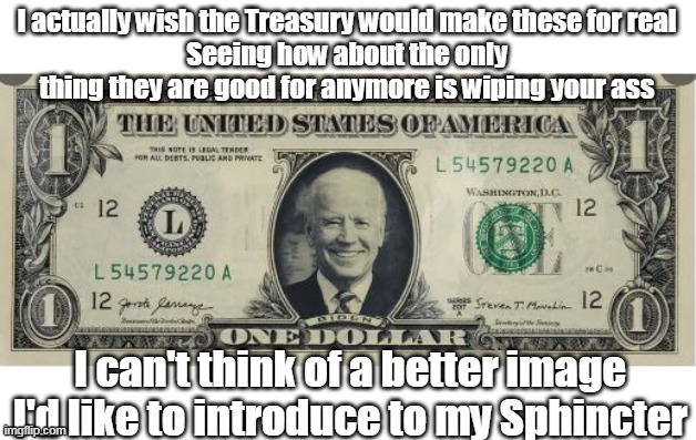 A Biden Bill that actually makes sense | image tagged in biden,moron | made w/ Imgflip meme maker