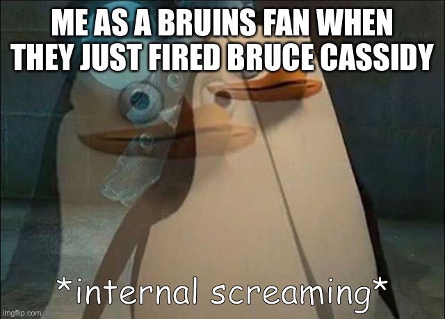 We’re done | ME AS A BRUINS FAN WHEN THEY JUST FIRED BRUCE CASSIDY | image tagged in private internal screaming | made w/ Imgflip meme maker