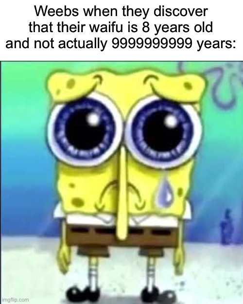 Lmfao. | Weebs when they discover that their waifu is 8 years old and not actually 9999999999 years: | image tagged in sad spongebob | made w/ Imgflip meme maker