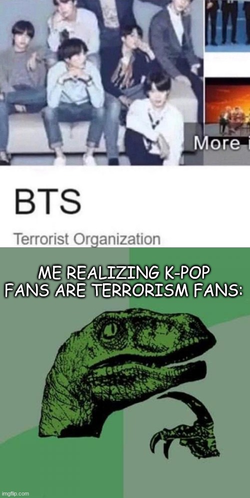 ayo? | ME REALIZING K-POP FANS ARE TERRORISM FANS: | image tagged in memes,philosoraptor | made w/ Imgflip meme maker