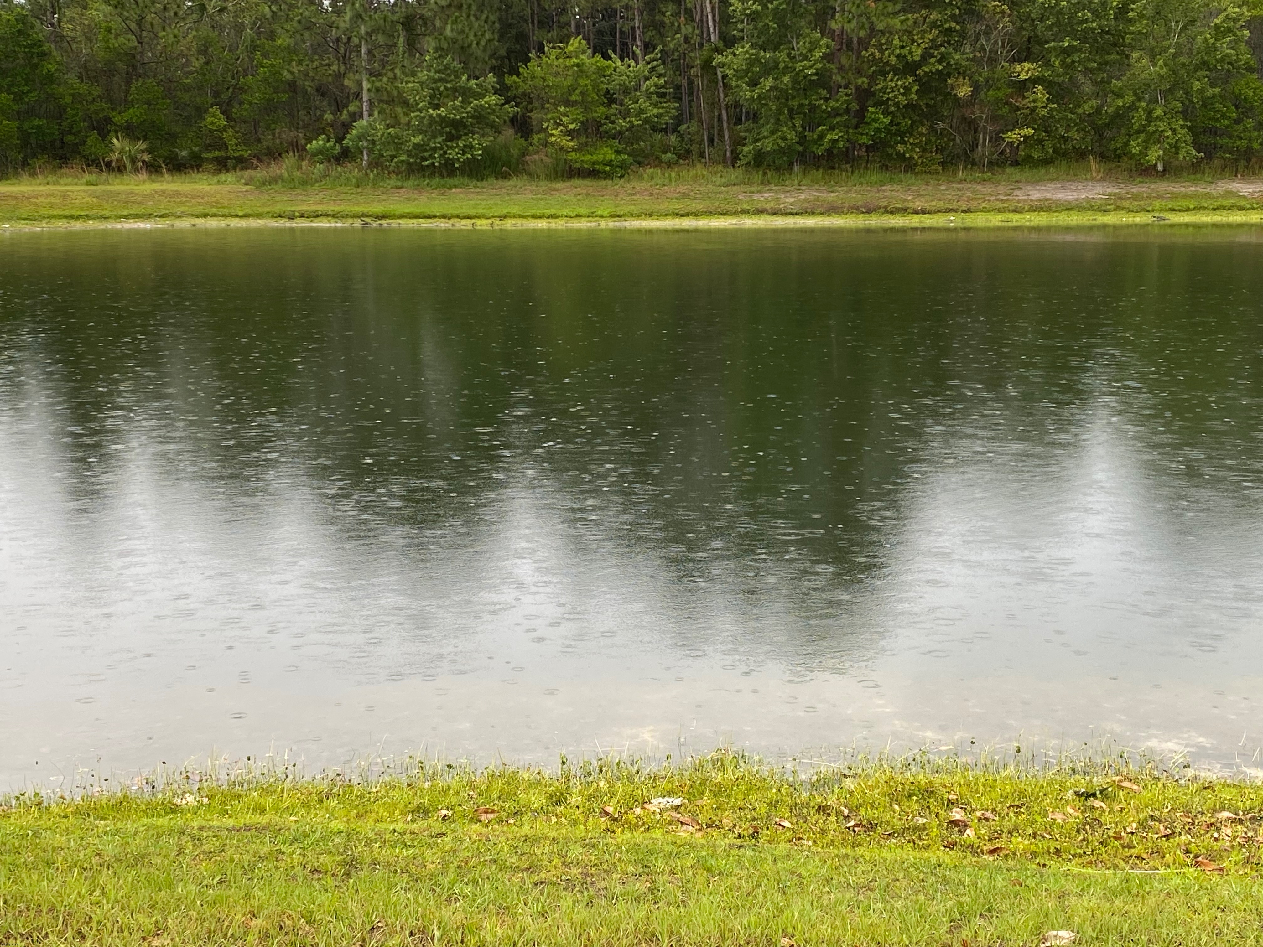 Raindrops on a pond, Jacksonville FL 6/6/22 | made w/ Imgflip meme maker