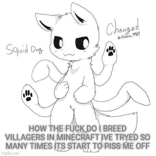 THIS IS A SERIOUS QUESTION, HELP | HOW THE FUCK DO I BREED VILLAGERS IN MINECRAFT IVE TRYED SO MANY TIMES ITS START TO PISS ME OFF | image tagged in squid dog | made w/ Imgflip meme maker