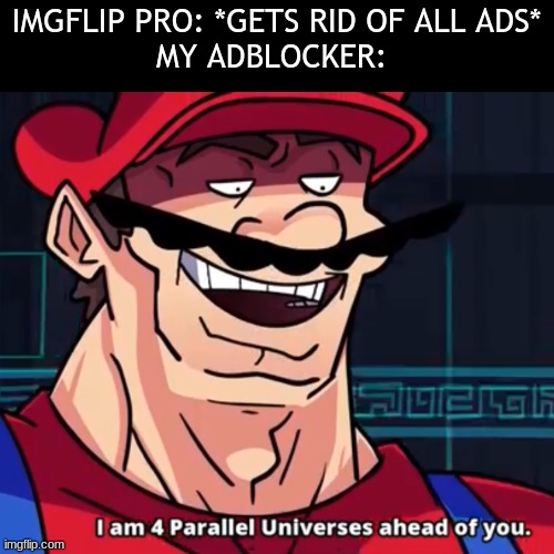 I Am 4 Parallel Universes Ahead Of You | IMGFLIP PRO: *GETS RID OF ALL ADS*
MY ADBLOCKER: | image tagged in i am 4 parallel universes ahead of you | made w/ Imgflip meme maker