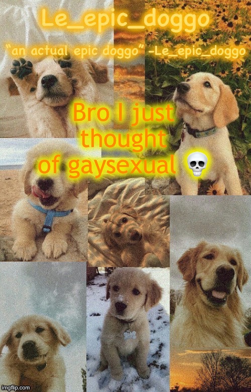 Doggo temp by doggo. Wait what that’s confusing | Bro I just thought of gaysexual 💀 | image tagged in doggo temp by doggo wait what that s confusing | made w/ Imgflip meme maker