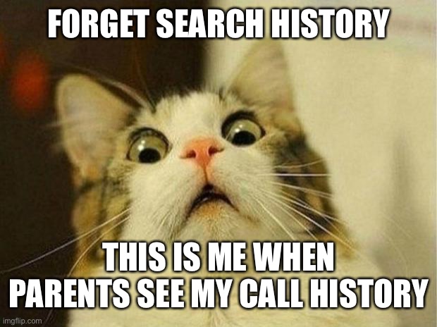 Scared Cat | FORGET SEARCH HISTORY; THIS IS ME WHEN PARENTS SEE MY CALL HISTORY | image tagged in memes,scared cat | made w/ Imgflip meme maker