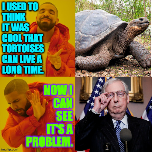 I just noticed how his head and neck look like another body part.  But that's for another meme... | I USED TO
THINK
IT WAS
COOL THAT
TORTOISES
CAN LIVE A
LONG TIME. NOW I
CAN
SEE
IT'S A
PROBLEM. | image tagged in reverse drake,memes,mitch mcturtle | made w/ Imgflip meme maker