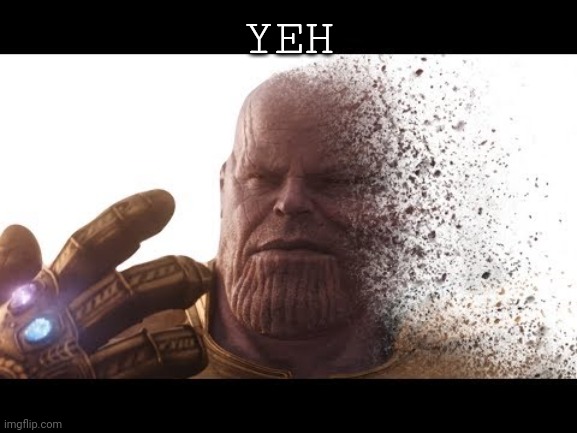 YEH | image tagged in thanos vanishing | made w/ Imgflip meme maker