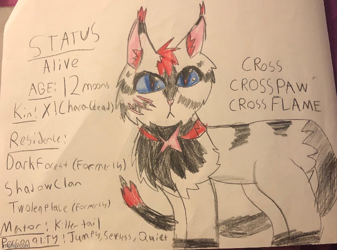 Drawing Sans AU’s as Warrior Cats [Part One: Cross] | made w/ Imgflip meme maker