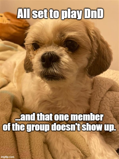 No DnD today | All set to play DnD; ...and that one member of the group doesn't show up. | image tagged in dungeons and dragons,roleplaying,dnd,disappointed dog,let down | made w/ Imgflip meme maker