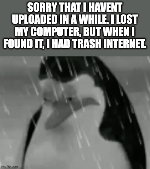 sorry | SORRY THAT I HAVENT UPLOADED IN A WHILE. I LOST MY COMPUTER, BUT WHEN I FOUND IT, I HAD TRASH INTERNET. | image tagged in sadge | made w/ Imgflip meme maker