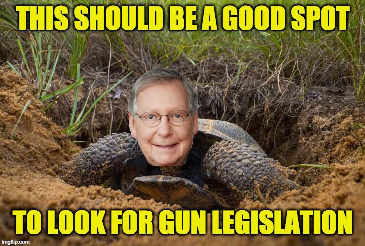 Russian gopher turtle.  Very good in soup. | image tagged in memes,mitch mcturtle,gun control | made w/ Imgflip meme maker