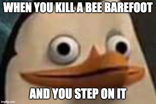 I am not done quite yet, human. | WHEN YOU KILL A BEE BAREFOOT; AND YOU STEP ON IT | image tagged in bees,pain,penguin,funny,meme,fun | made w/ Imgflip meme maker