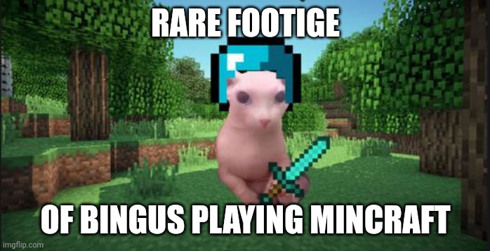 Minecraft bingus | RARE FOOTIGE OF BINGUS PLAYING MINCRAFT | image tagged in minecraft bingus | made w/ Imgflip meme maker
