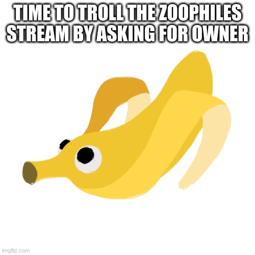 Banopper | TIME TO TROLL THE ZOOPHILES STREAM BY ASKING FOR OWNER | image tagged in banopper | made w/ Imgflip meme maker