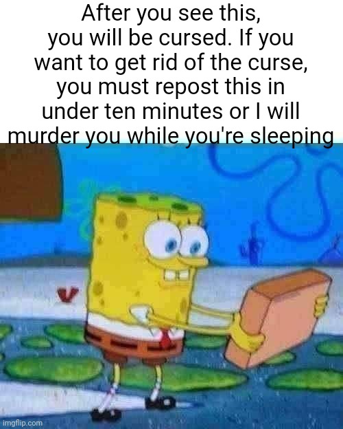 After you see this, you will be cursed. If you want to get rid of the curse, you must repost this in under ten minutes or I will murder you while you're sleeping | image tagged in spongebill circlepants | made w/ Imgflip meme maker