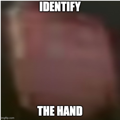 hand.png |  IDENTIFY; THE HAND | made w/ Imgflip meme maker