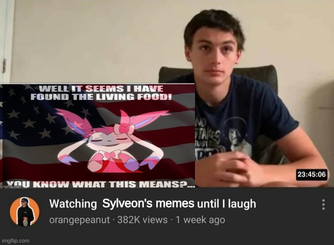 watching until i laugh | Sylveon's memes | image tagged in watching until i laugh | made w/ Imgflip meme maker