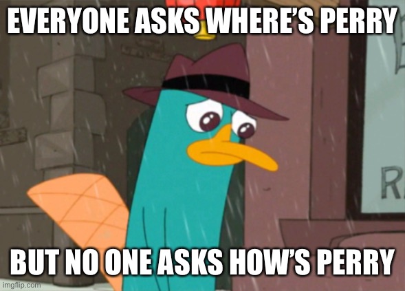 :( | EVERYONE ASKS WHERE’S PERRY; BUT NO ONE ASKS HOW’S PERRY | made w/ Imgflip meme maker