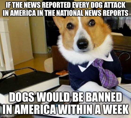 Lawyer Corgi Dog | IF THE NEWS REPORTED EVERY DOG ATTACK IN AMERICA IN THE NATIONAL NEWS REPORTS; DOGS WOULD BE BANNED IN AMERICA WITHIN A WEEK | image tagged in lawyer corgi dog,guns,gun control,biased media,violence,stupid liberals | made w/ Imgflip meme maker