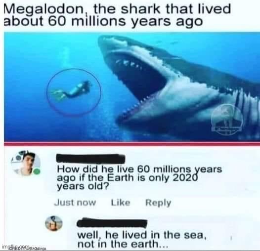 How did Megalodon live 60 million years ago if the world is only 2020 years old? | image tagged in megalodon | made w/ Imgflip meme maker
