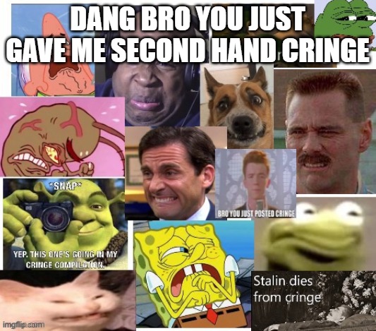 High Quality second hand cringe Blank Meme Template