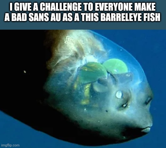 Does anyone accept? | I GIVE A CHALLENGE TO EVERYONE MAKE A BAD SANS AU AS A THIS BARRELEYE FISH | image tagged in challenge | made w/ Imgflip meme maker