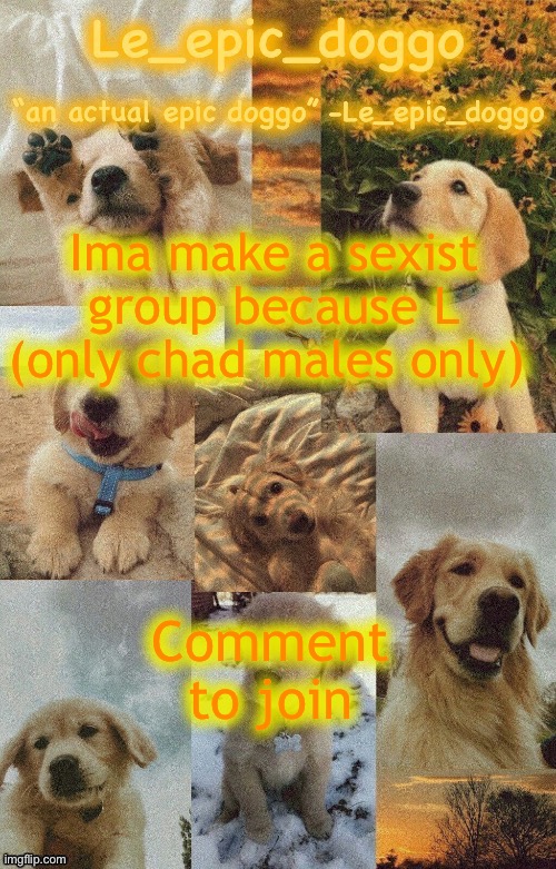 Doggo temp by doggo. Wait what that’s confusing | Ima make a sexist group because L (only chad males only); Comment to join | image tagged in doggo temp by doggo wait what that s confusing | made w/ Imgflip meme maker