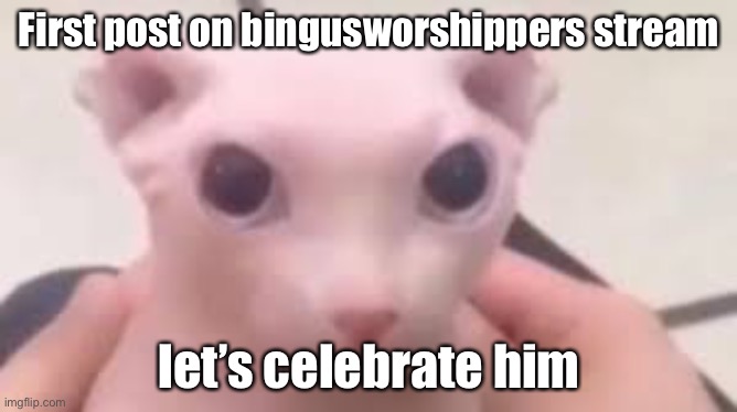 Bingus beginning | First post on bingusworshippers stream; let’s celebrate him | image tagged in bingus | made w/ Imgflip meme maker