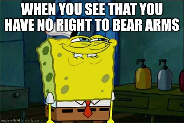 why AI memes, why | WHEN YOU SEE THAT YOU HAVE NO RIGHT TO BEAR ARMS | image tagged in memes,don't you squidward | made w/ Imgflip meme maker