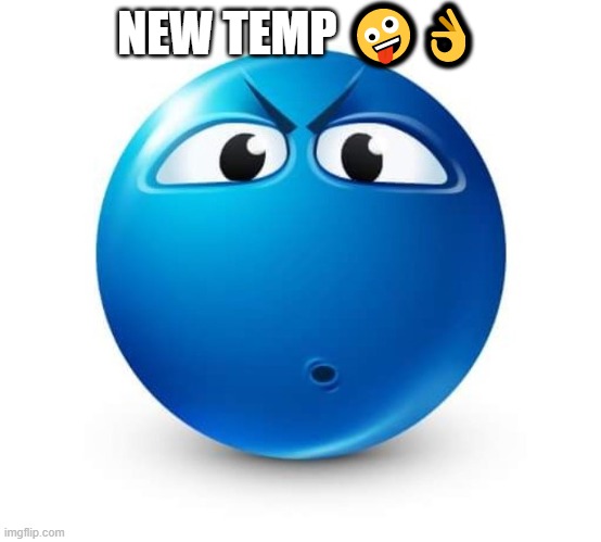 Blue guy question | NEW TEMP 🤪👌 | image tagged in blue guy question | made w/ Imgflip meme maker