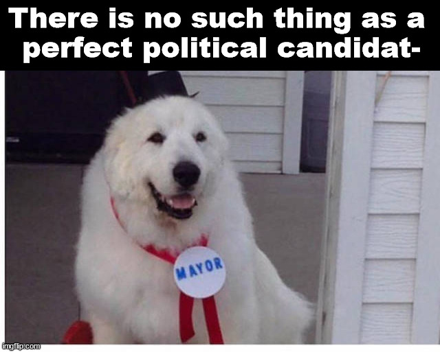 Not political, just something we should agree on. | There is no such thing as a 
perfect political candidat- | image tagged in political meme | made w/ Imgflip meme maker