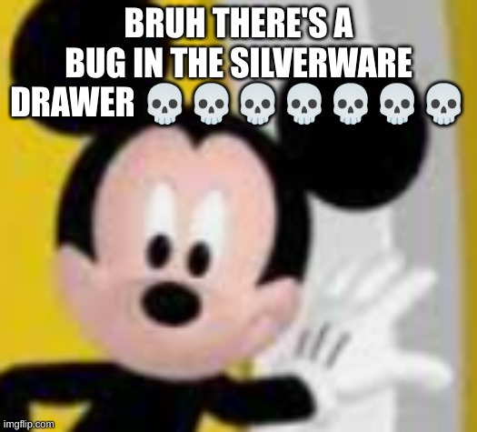 ik i should be sleeping but wtf | BRUH THERE'S A BUG IN THE SILVERWARE DRAWER 💀💀💀💀💀💀💀 | image tagged in mickey mice | made w/ Imgflip meme maker