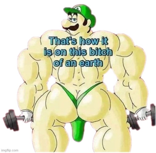 luigi | image tagged in luigi | made w/ Imgflip meme maker