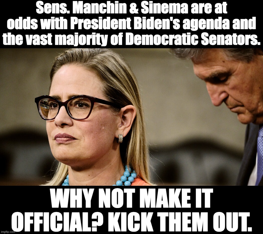 Manchin & Sinema seem to think they have a future as political independents. Make it official. Eject them from the Party. | Sens. Manchin & Sinema are at odds with President Biden's agenda and the vast majority of Democratic Senators. WHY NOT MAKE IT OFFICIAL? KICK THEM OUT. | image tagged in manchin sinema,democrats,democratic party,senate | made w/ Imgflip meme maker