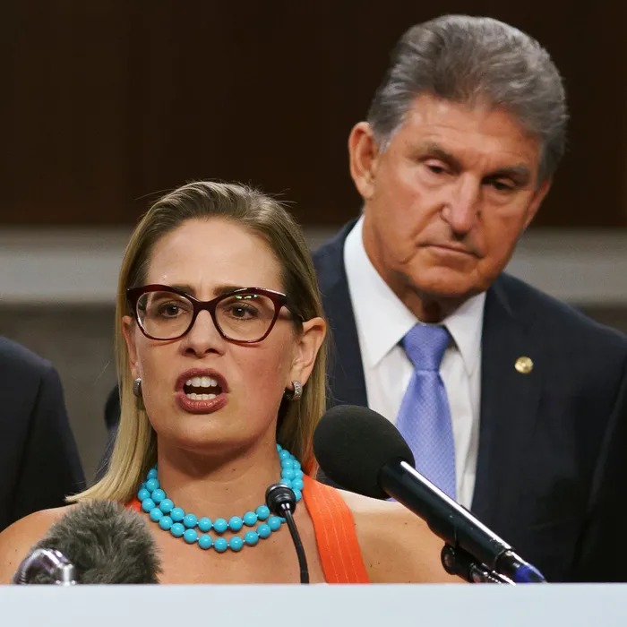 Joe Manchin Kyrsten Sinema Blank Meme Template