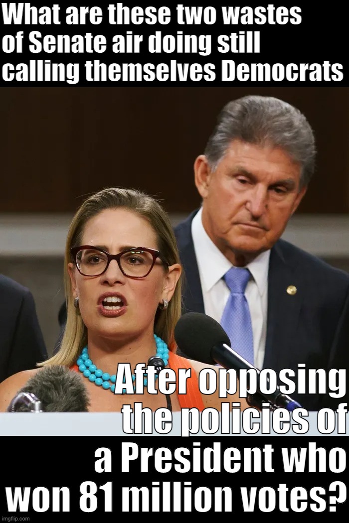 The Biden White House has mollycoddled these two for far too long. The President has authority, not them. | What are these two wastes of Senate air doing still calling themselves Democrats; After opposing the policies of a President who won 81 million votes? | image tagged in joe manchin kyrsten sinema,democrats,democratic party,senate | made w/ Imgflip meme maker