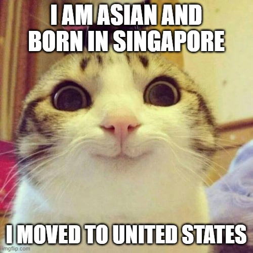 i am asians and when i 3 i moved to united states now i am 16 | I AM ASIAN AND BORN IN SINGAPORE; I MOVED TO UNITED STATES | image tagged in memes,smiling cat | made w/ Imgflip meme maker