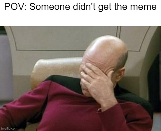 Captain Picard Facepalm Meme | POV: Someone didn't get the meme | image tagged in memes,captain picard facepalm | made w/ Imgflip meme maker