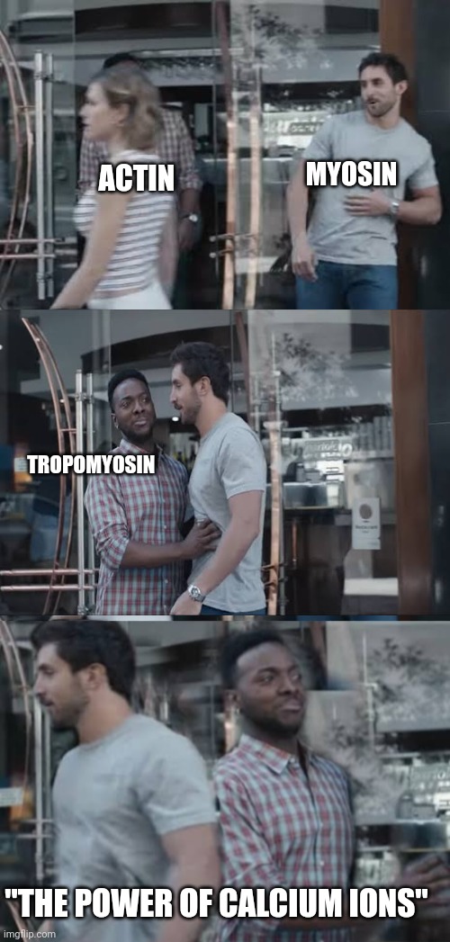 MYOSIN; ACTIN; TROPOMYOSIN; "THE POWER OF CALCIUM IONS" | made w/ Imgflip meme maker
