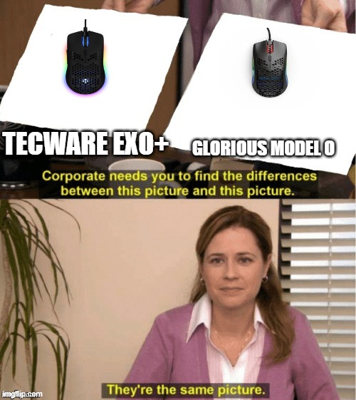 glorious vs tecware mouse | TECWARE EXO+; GLORIOUS MODEL O | image tagged in they re the same thing | made w/ Imgflip meme maker