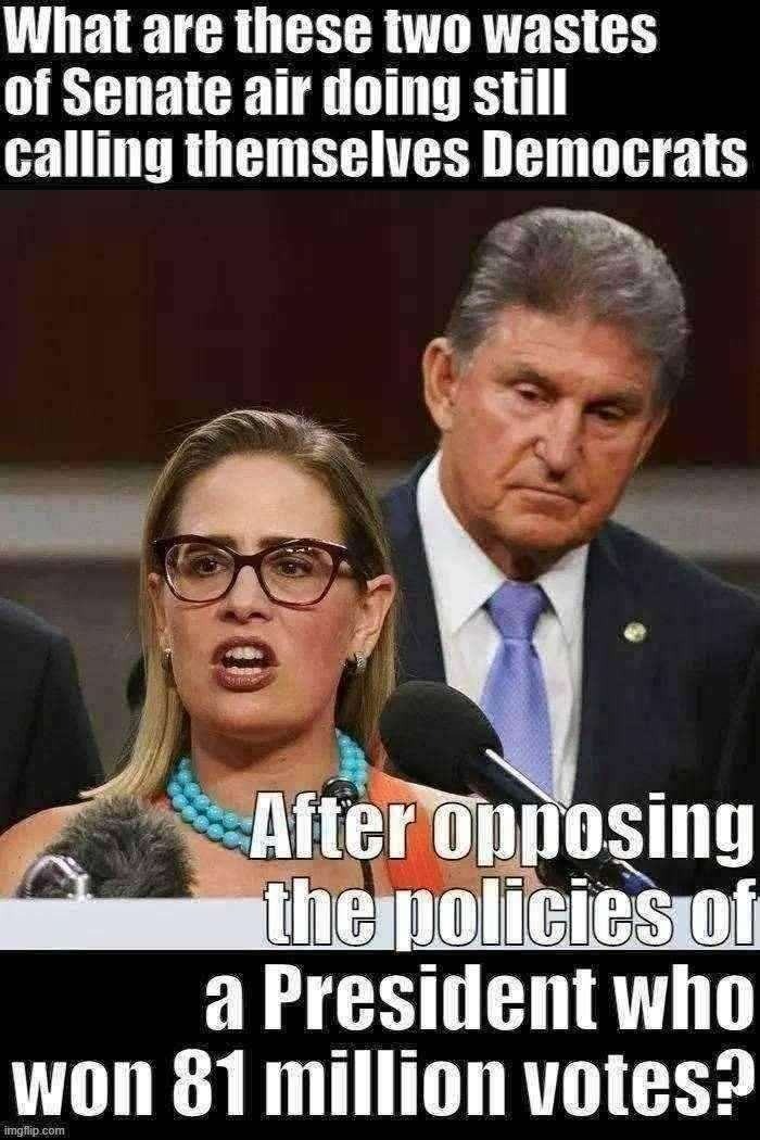 Expel Manchin & Sinema | image tagged in expel manchin sinema | made w/ Imgflip meme maker