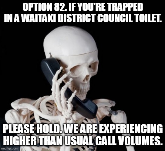 Skeleton on phone | OPTION 82. IF YOU'RE TRAPPED IN A WAITAKI DISTRICT COUNCIL TOILET. PLEASE HOLD. WE ARE EXPERIENCING HIGHER THAN USUAL CALL VOLUMES. | image tagged in skeleton on phone | made w/ Imgflip meme maker