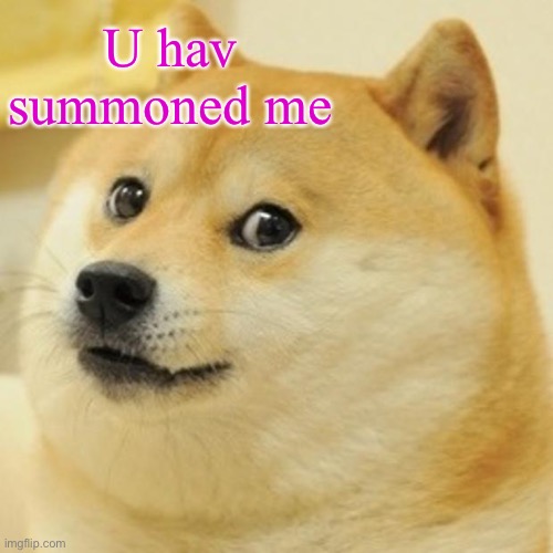 Doge Meme | U hav summoned me | image tagged in memes,doge | made w/ Imgflip meme maker