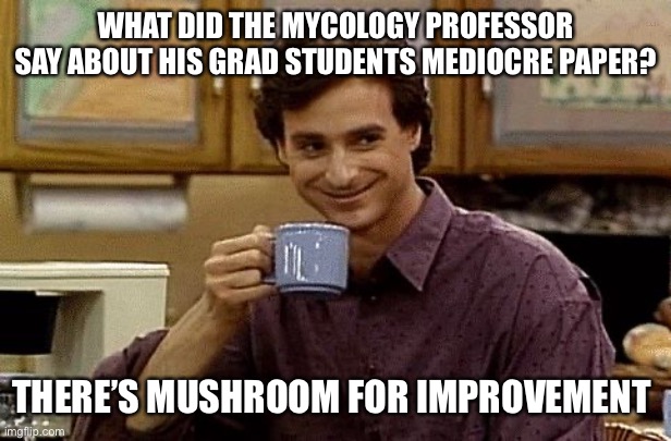Mycology is yourcology | WHAT DID THE MYCOLOGY PROFESSOR SAY ABOUT HIS GRAD STUDENTS MEDIOCRE PAPER? THERE’S MUSHROOM FOR IMPROVEMENT | image tagged in dad joke,mushrooms | made w/ Imgflip meme maker